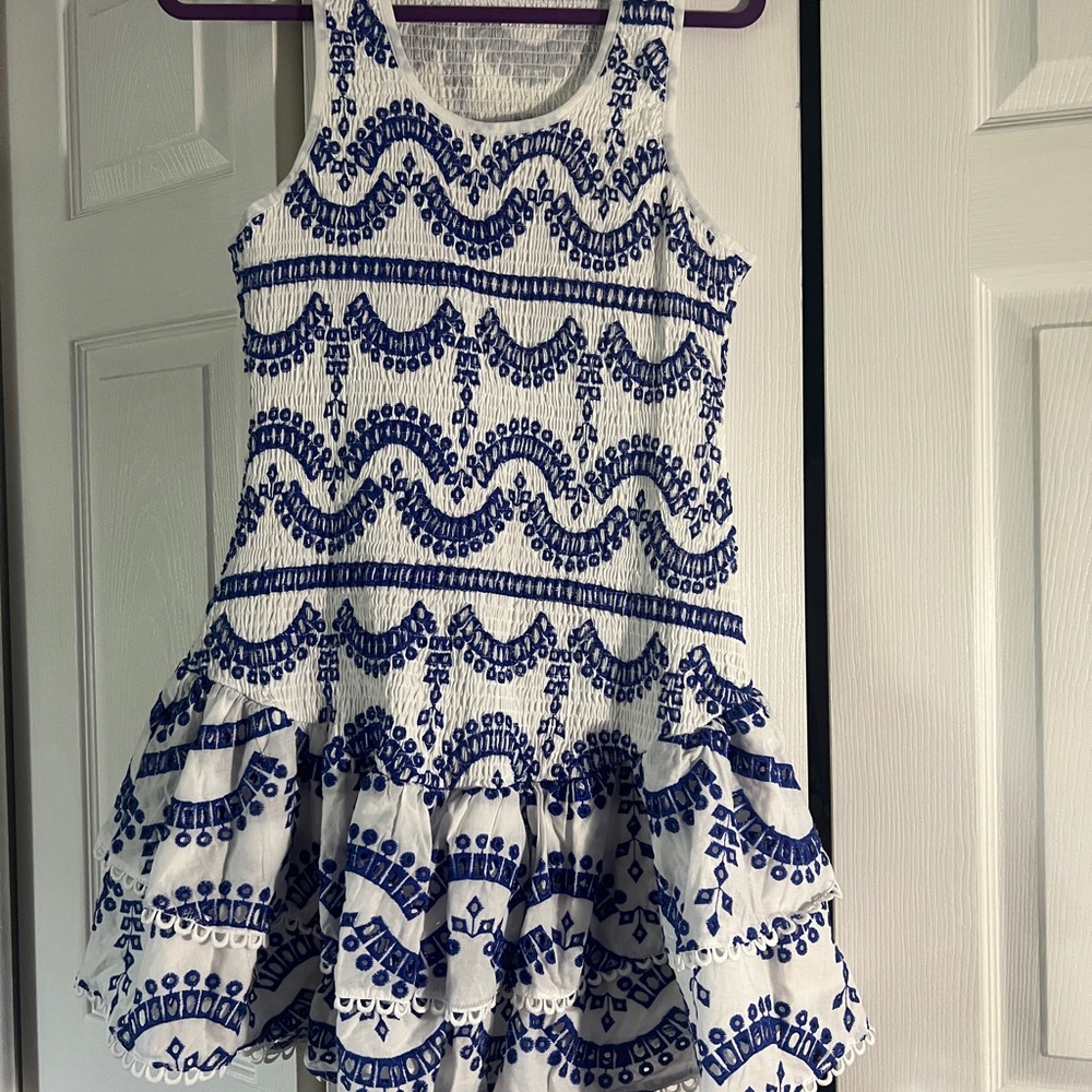 Embroidered Ruffled Sleeveless Dress - Picture 3 of 16